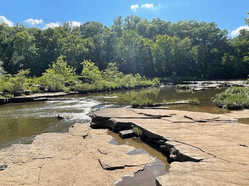 Wildlife Encounters Along the Trail