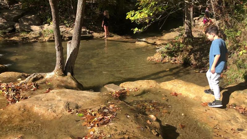 Wildlife and Nature Beyond the Waterfall