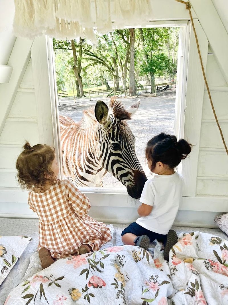 The Animals That Make This Place Unforgettable