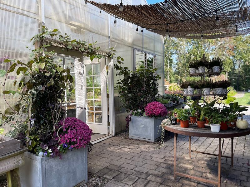 The Atmosphere That Keeps People Coming Back Just to Be There