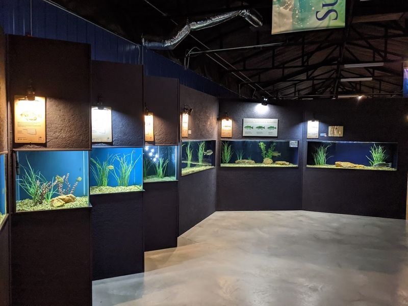 Medicine Park Aquarium and Natural Sciences Center: Learning Meets Adventure