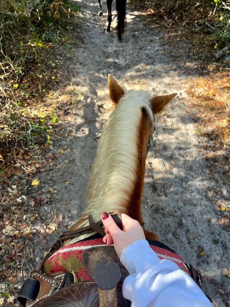 First-Timer Friendly: No Experience Needed