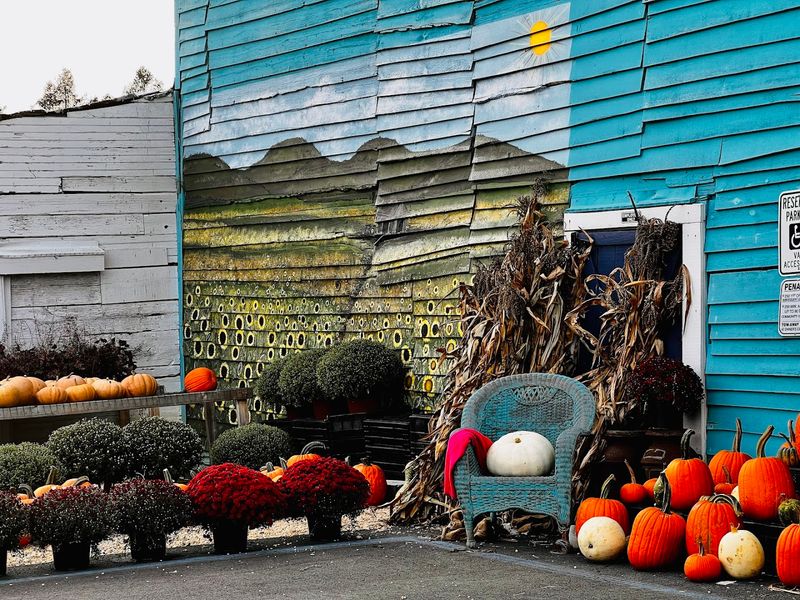 Seasonal Highlights Worth Planning Around