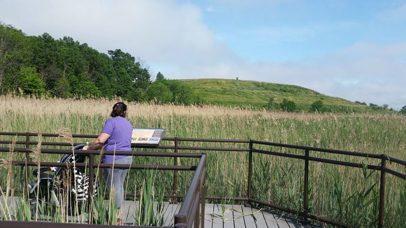 A Story of Environmental Redemption