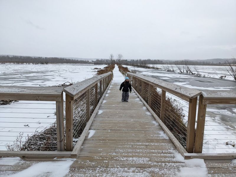 How the Marsh Looks Across Different Seasons