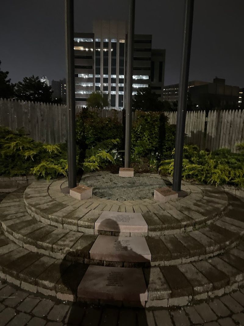 Best Times to Visit and What to Expect