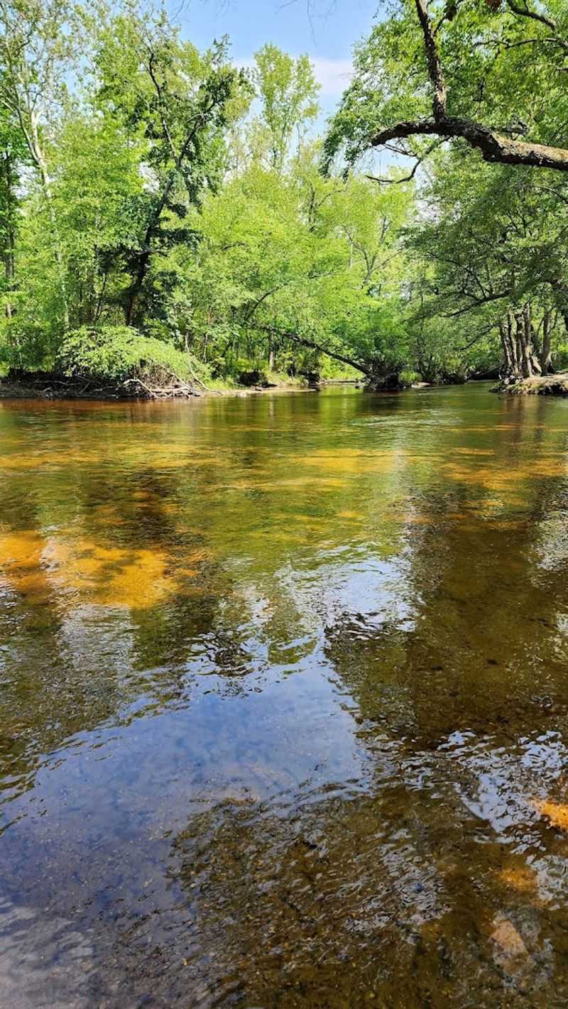 The Great Egg Harbor River Running Through It All