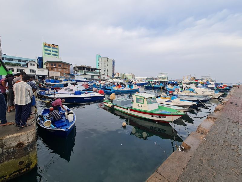 The Fish Market That Runs the Whole Economy
