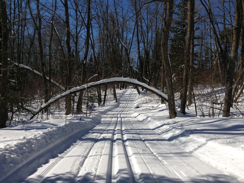 Hiking and Nature Trails Around Town
