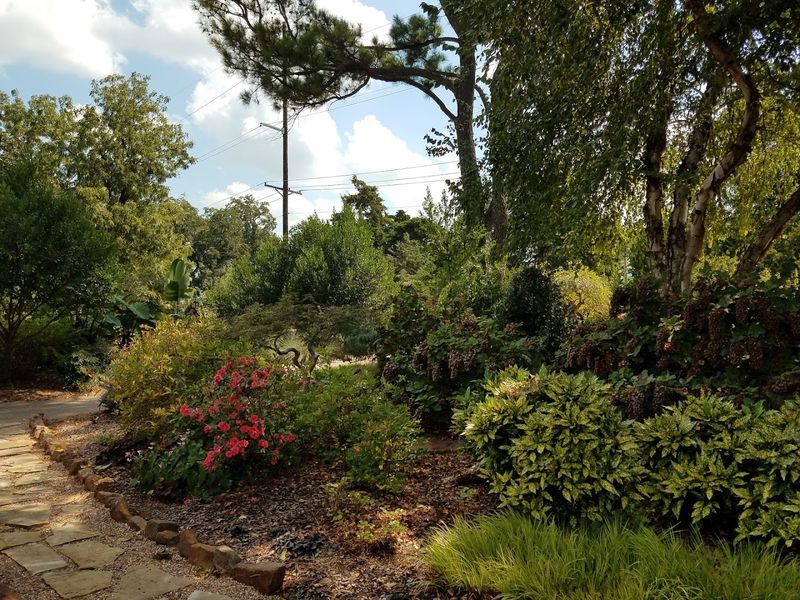 Walking Trails Through a World of Green