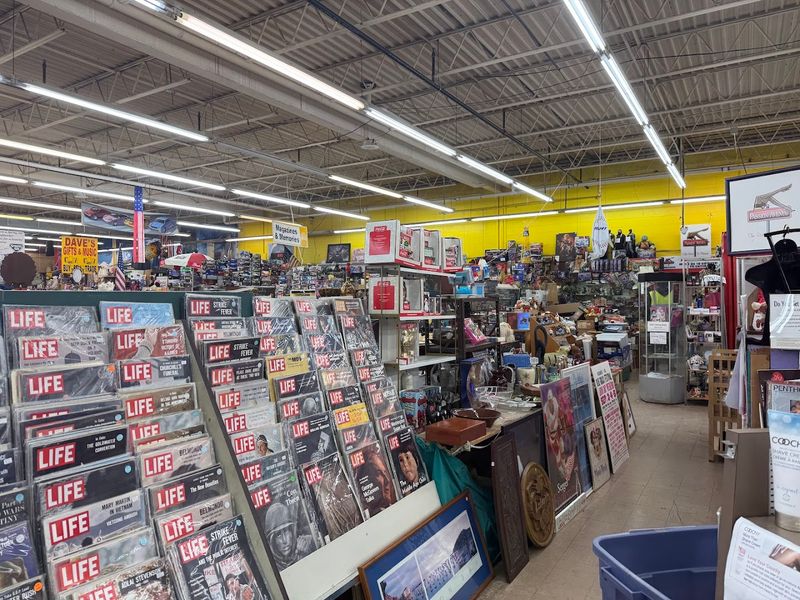 Vinyl Records and the Music Lovers Who Dig Here