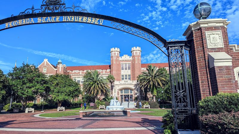 Job Market Stability Through Government and Education