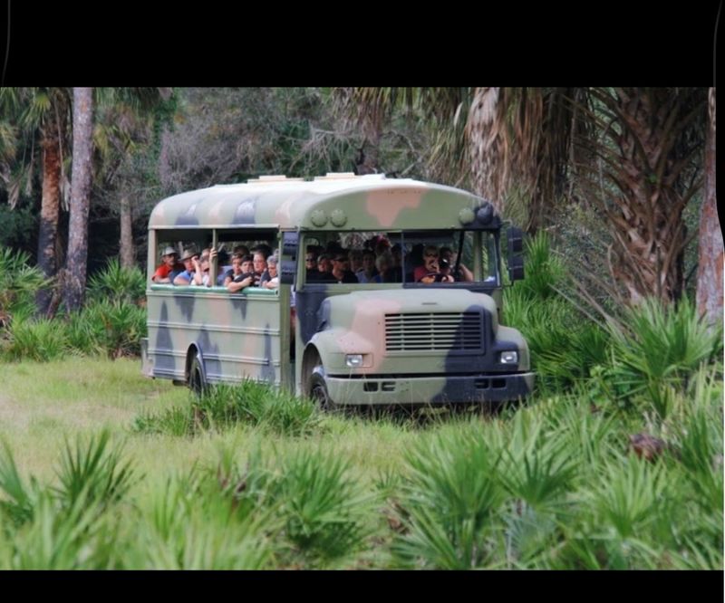 A Deep Dive Into Florida's Natural History