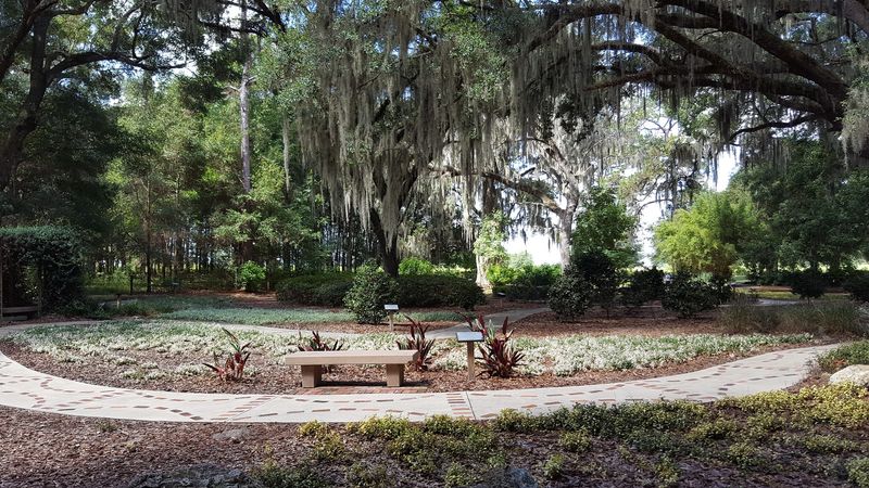 The Zen Garden: Rakes, Rocks, and Real Relaxation