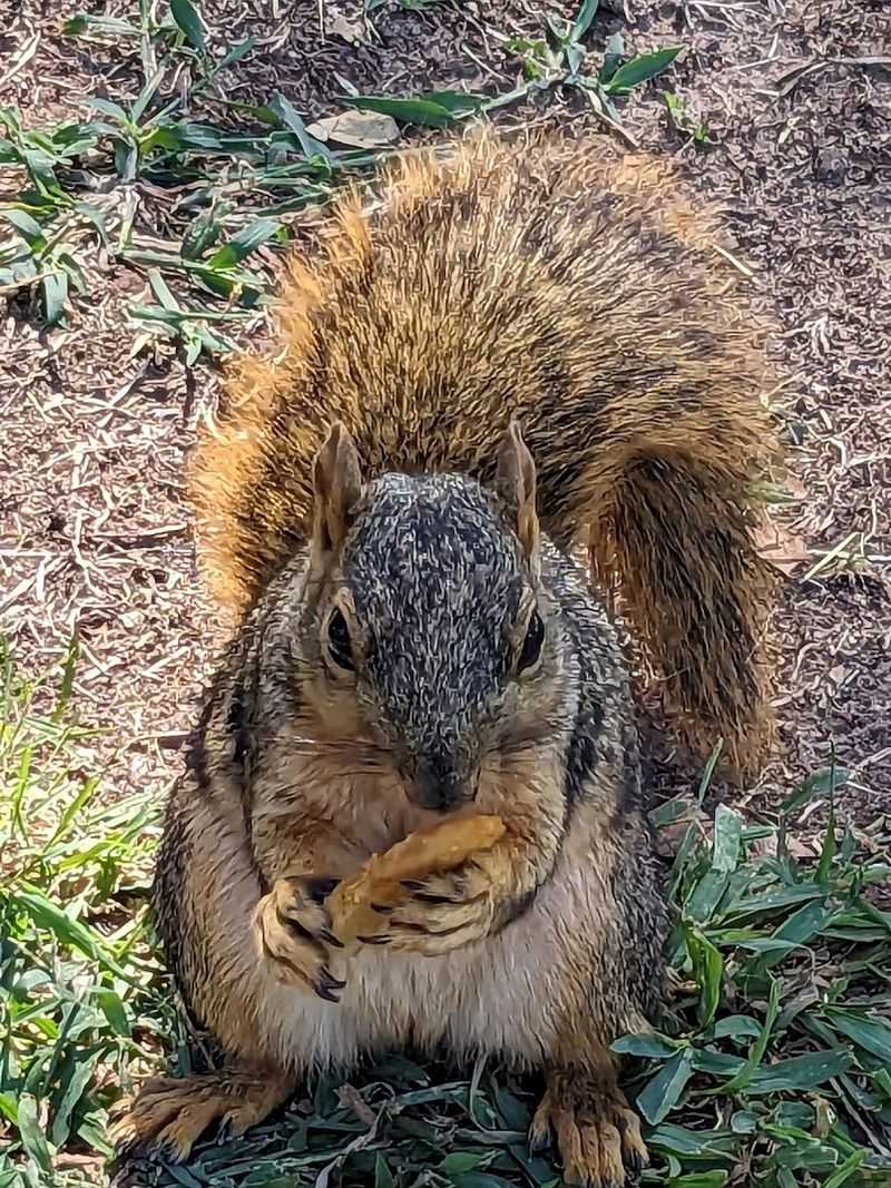 Wildlife That Practically Introduces Itself