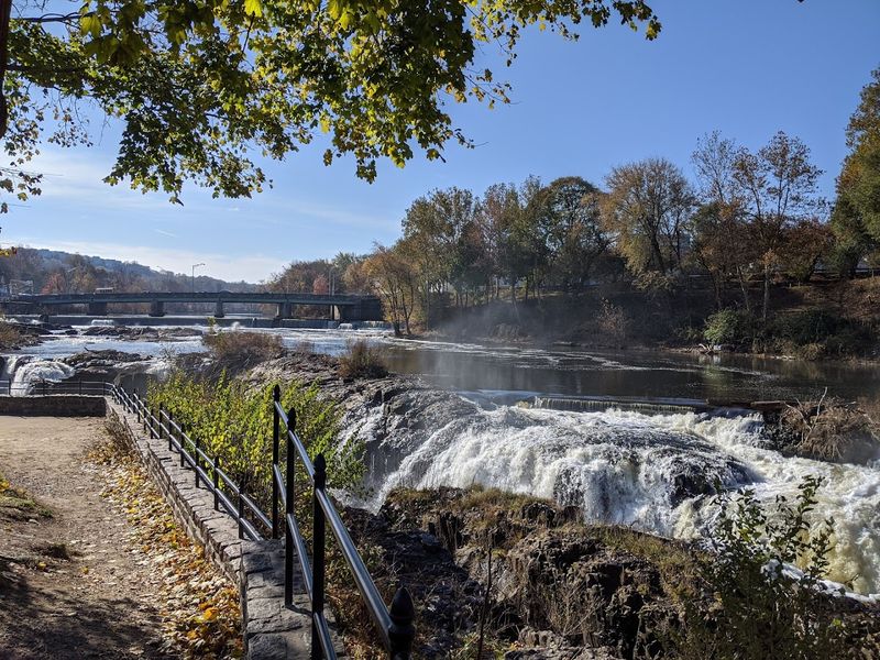 Family-Friendly Accessibility and What to Expect