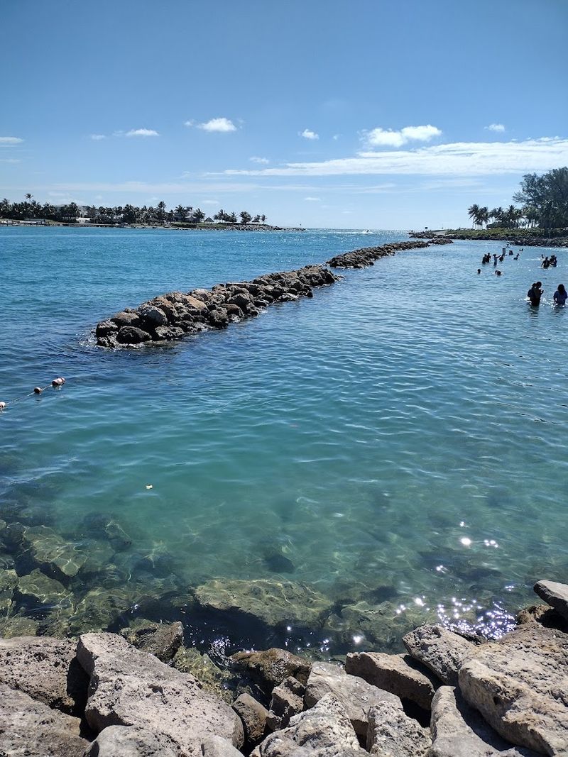 Snorkeling the Rocks Under the Bridge