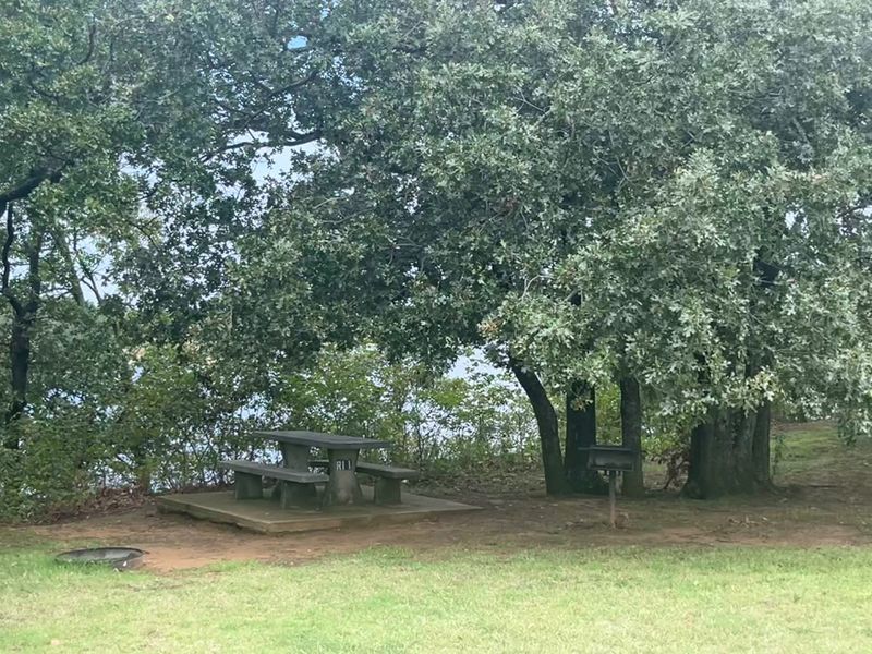 Camping Options: From Tent Pads to Full Hookups