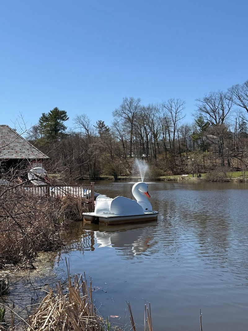 Paddle Boats and Swan Rides