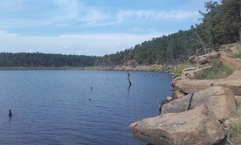 Nearly 10,000 Acres of Pure Forest