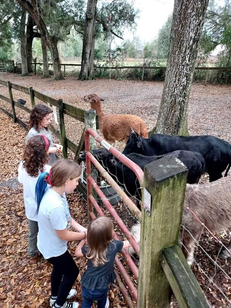 Family Trips and Birthday Celebrations