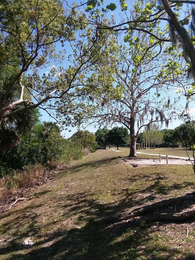 Trails That Are Perfect for a Relaxed Morning Walk