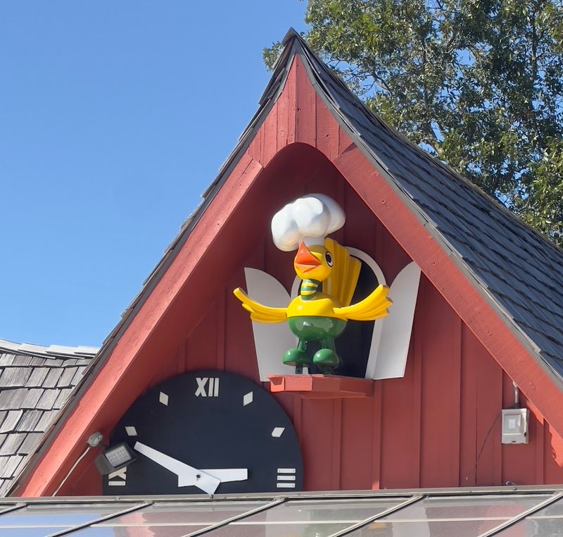 The Cuckoo Bird That Became an Icon