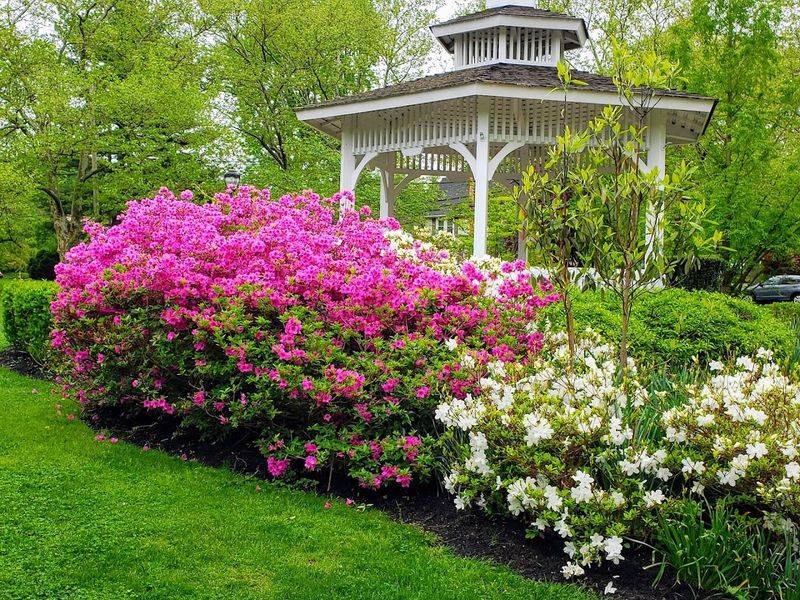 Spring Is When the Garden Truly Performs