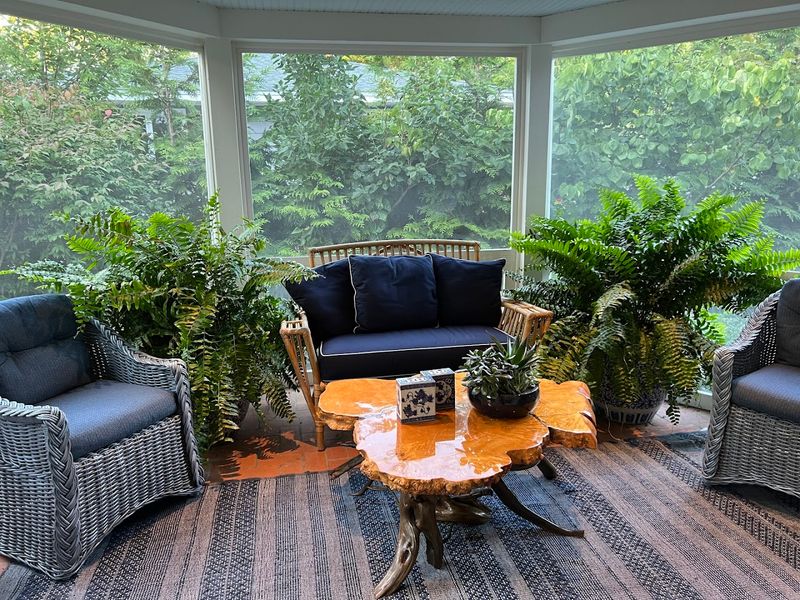 Accolades, Recognition, and What the Critics Are Saying