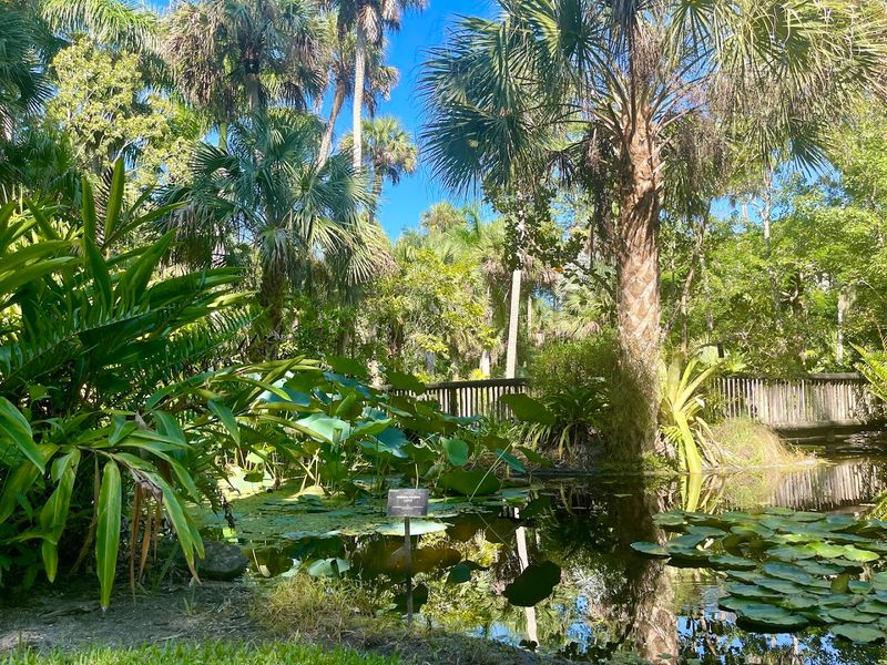 The Garden's Role in Florida Conservation