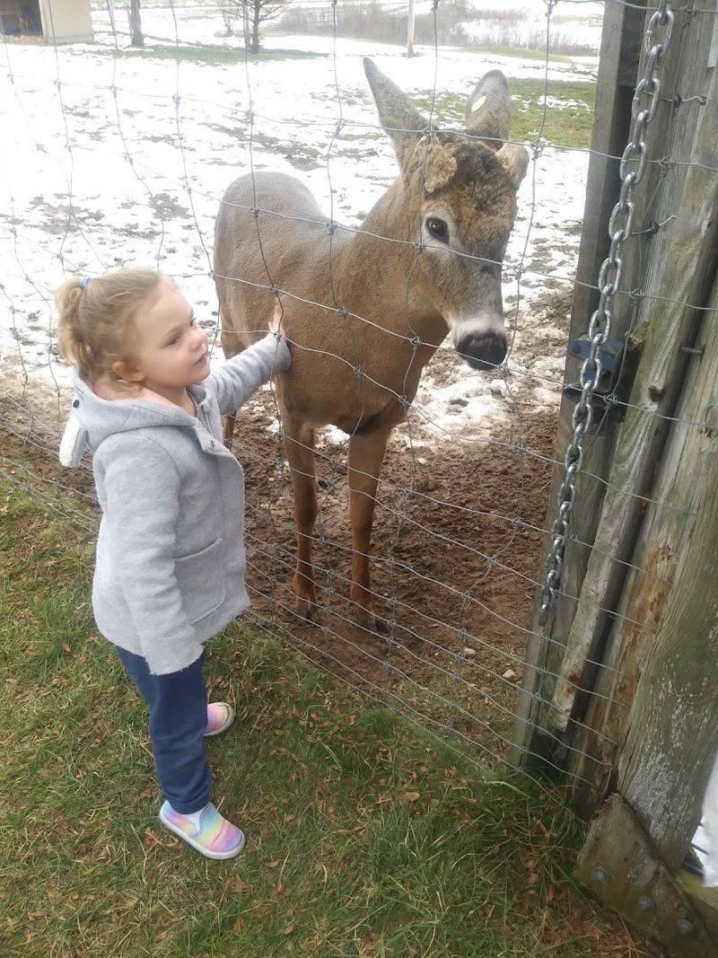 Why Families Remember This Stop