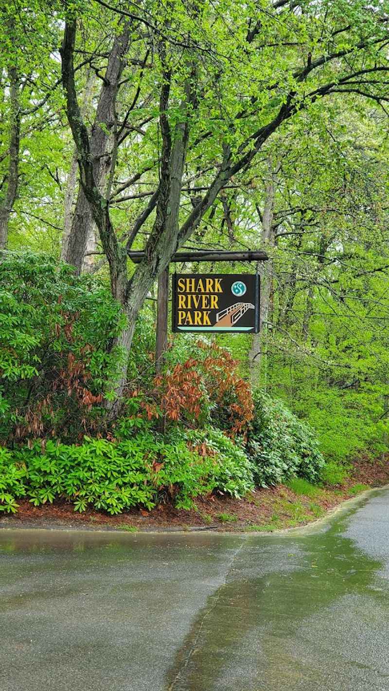 Where the Park Begins: Address, Location, and Basic Facts