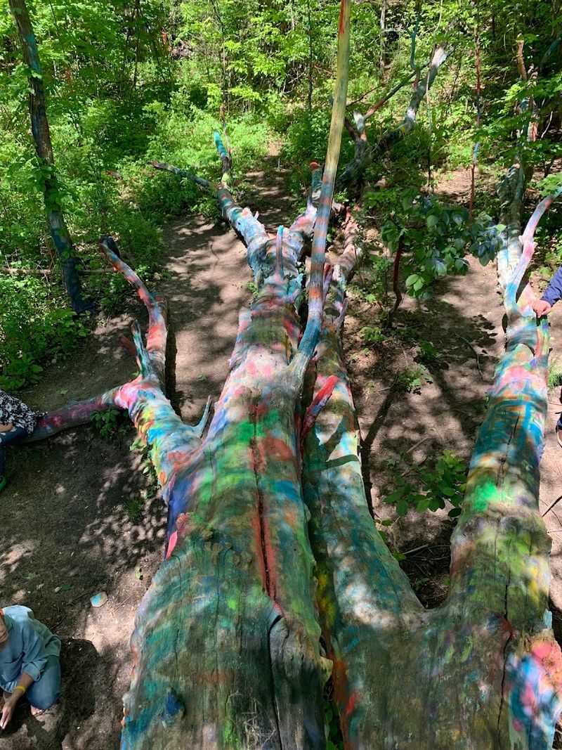 Bringing Your Own Paint: The Participatory Art Experience