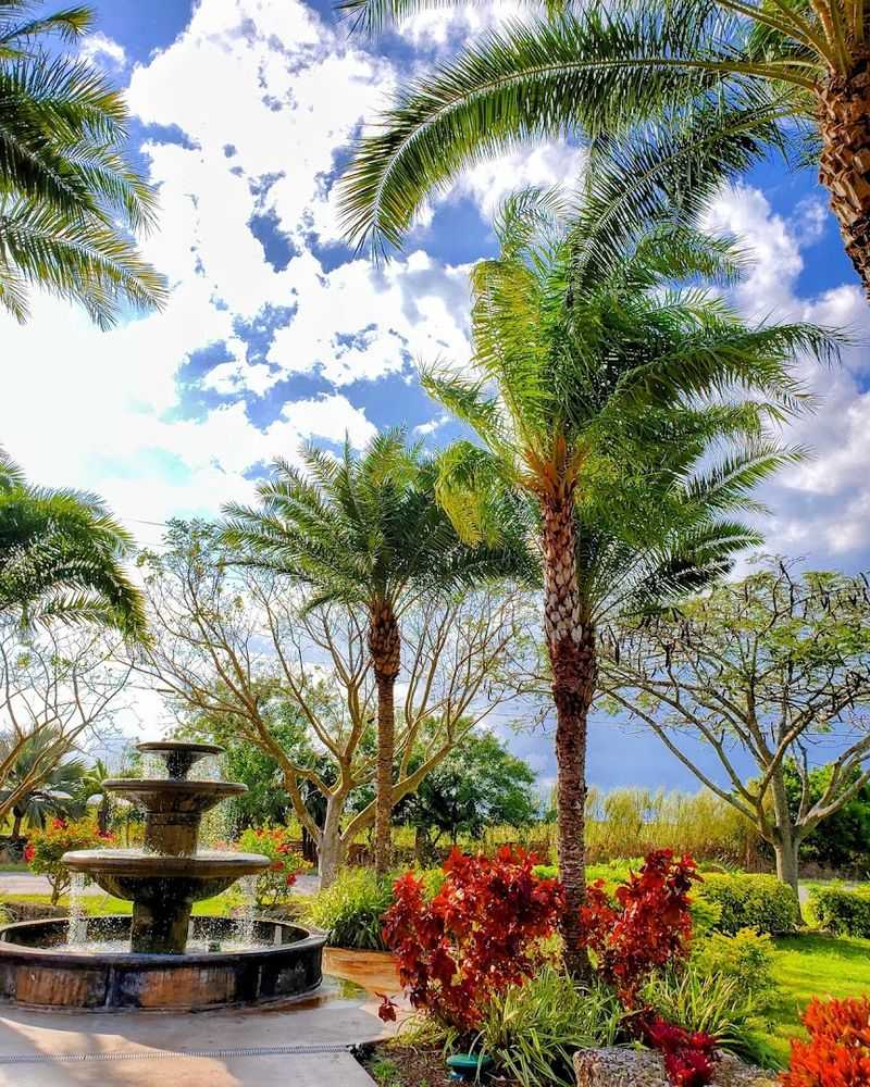 Practical Tips for Planning Your Visit