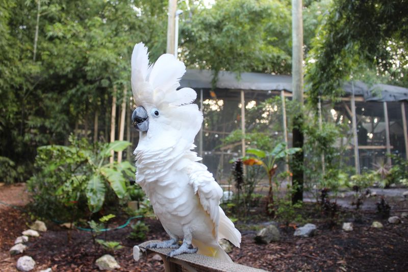 A Sanctuary Born from Compassion, Not Commerce