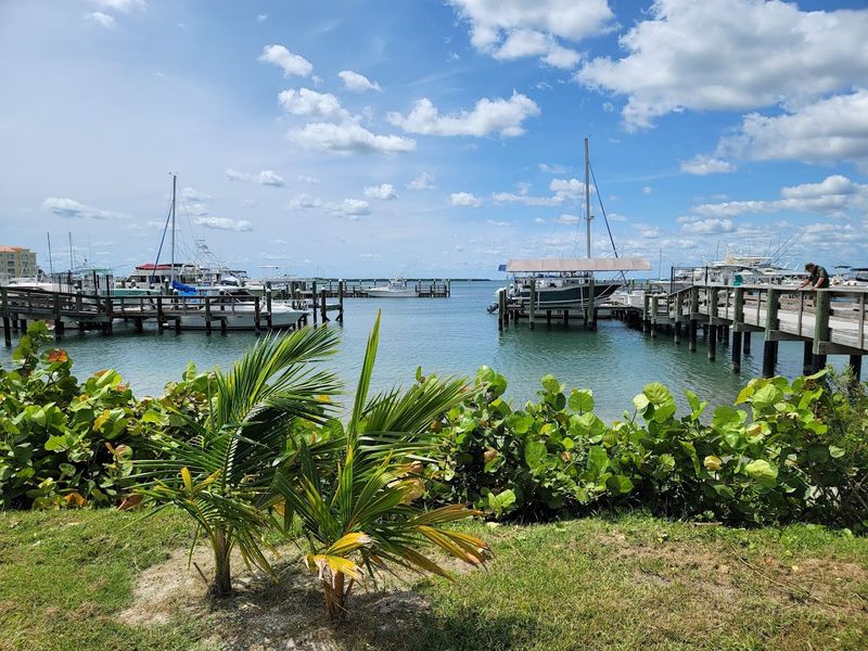 Outdoors at Savannas Preserve State Park