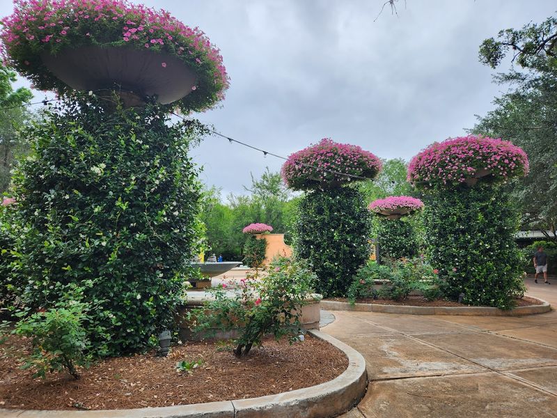 Planning Your Visit to the Jacksonville Zoo