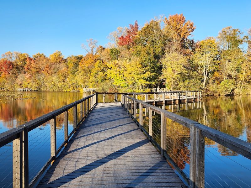 A Floating Bridge That Turns a Walk Into an Adventure