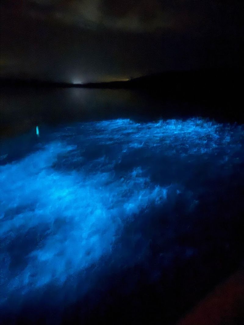 Mosquito Bay's Electric Bioluminescence (Vieques, Puerto Rico)