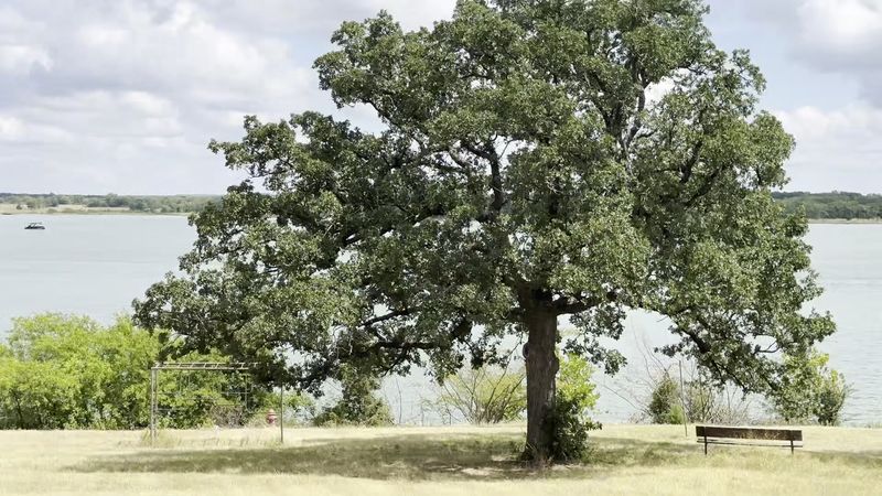 Golf and Other Land-Based Recreation