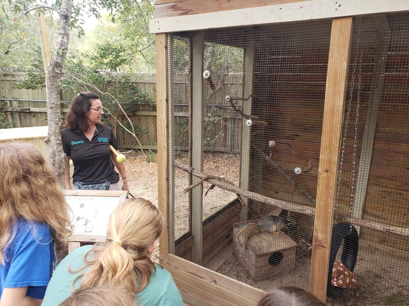 Special Events, Critter Camp, and Scout Group Tours