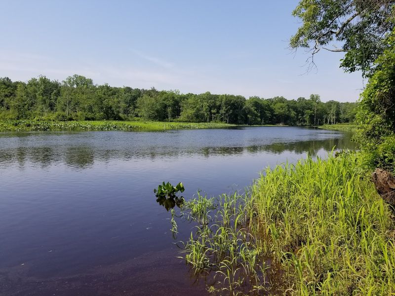 Birdwatching Opportunities That Surprise Even the Regulars