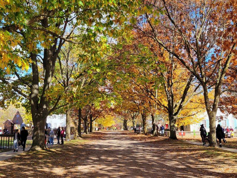 The Grounds, the Gardens, and What Greets You at the Gate