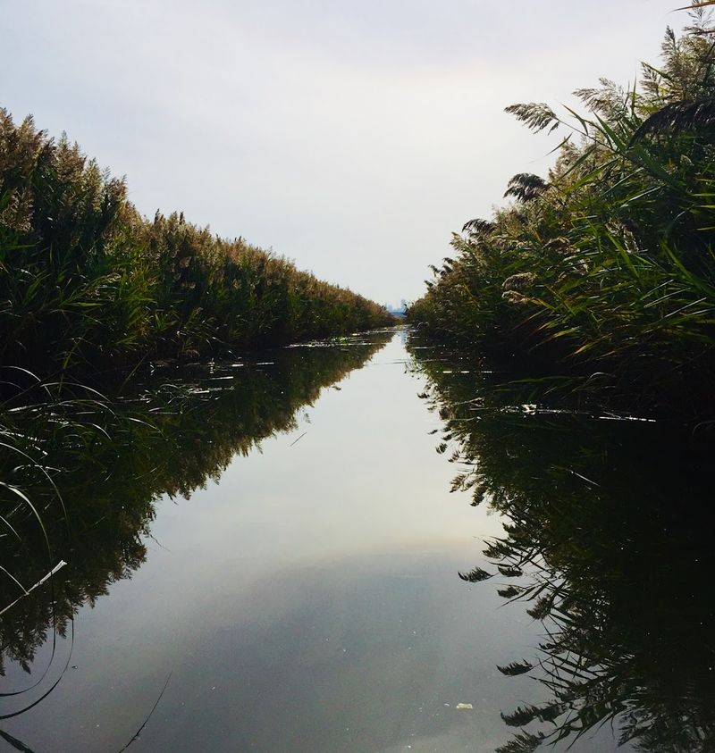 Full Moon Tours and Why They Book Fast