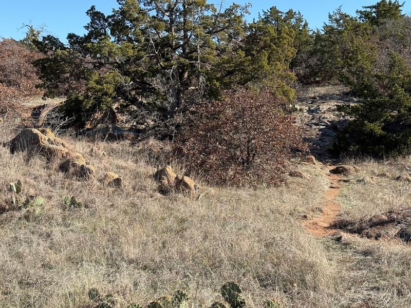 Trail Difficulty and What to Expect on the Way Up