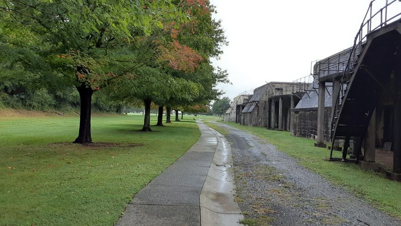 Trails Through the Trees and Along the Shore