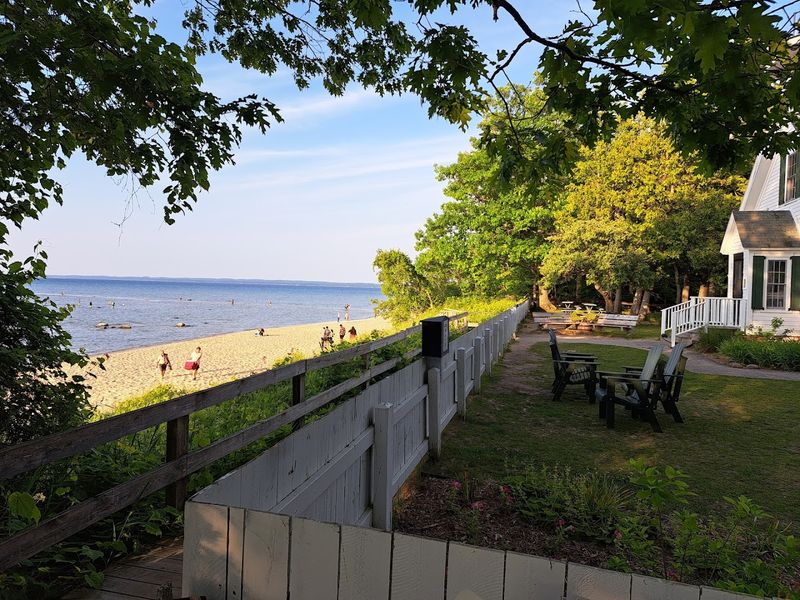 The Beach Scene: Dogs, Families, and Room to Breathe