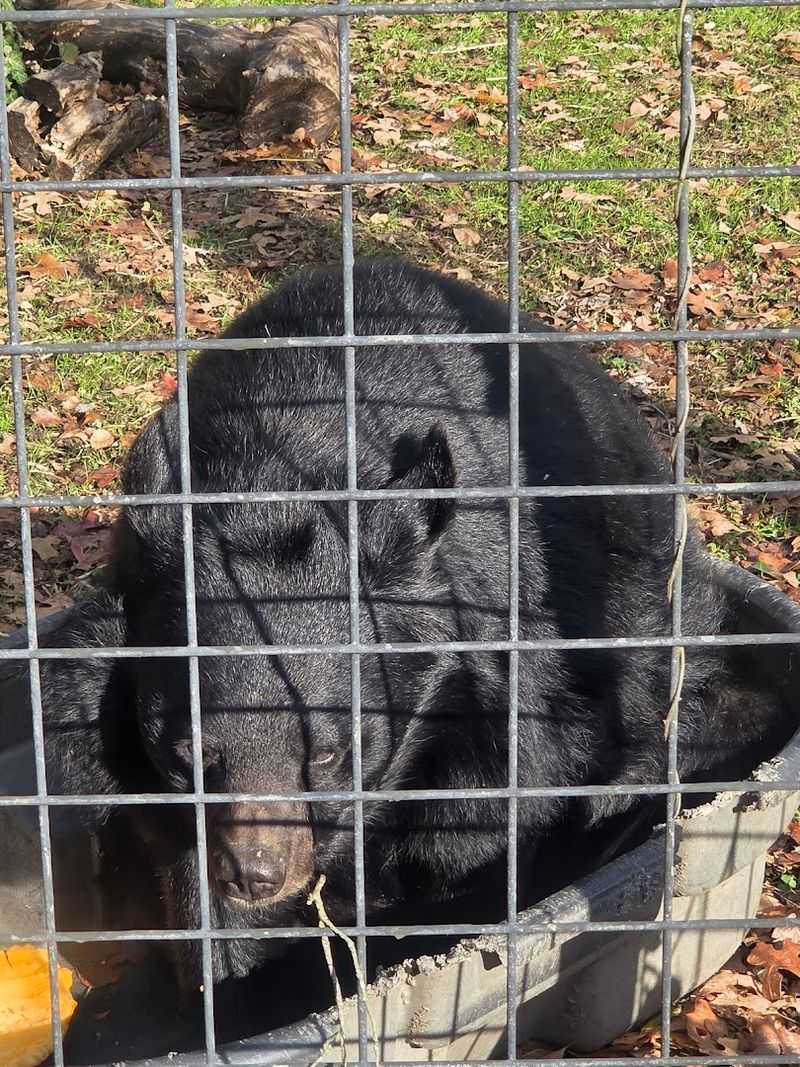 What to Bring for the Best Visit