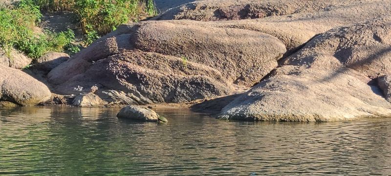 Practical Tips for Your Visit