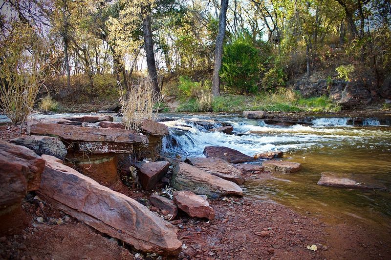 The Creek, the Waterfall Area, and Water Features
